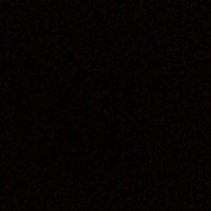 Meet your Posher, Kitty